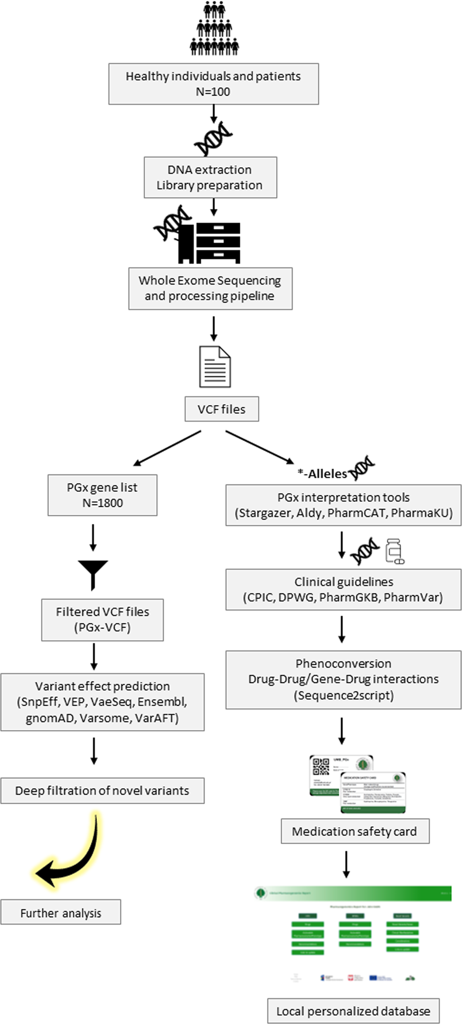 Development of an extensive workflow for comprehensive clinical  pharmacogenomic profiling: lessons from a pilot study on 100 whole exome  sequencing data | The Pharmacogenomics Journal