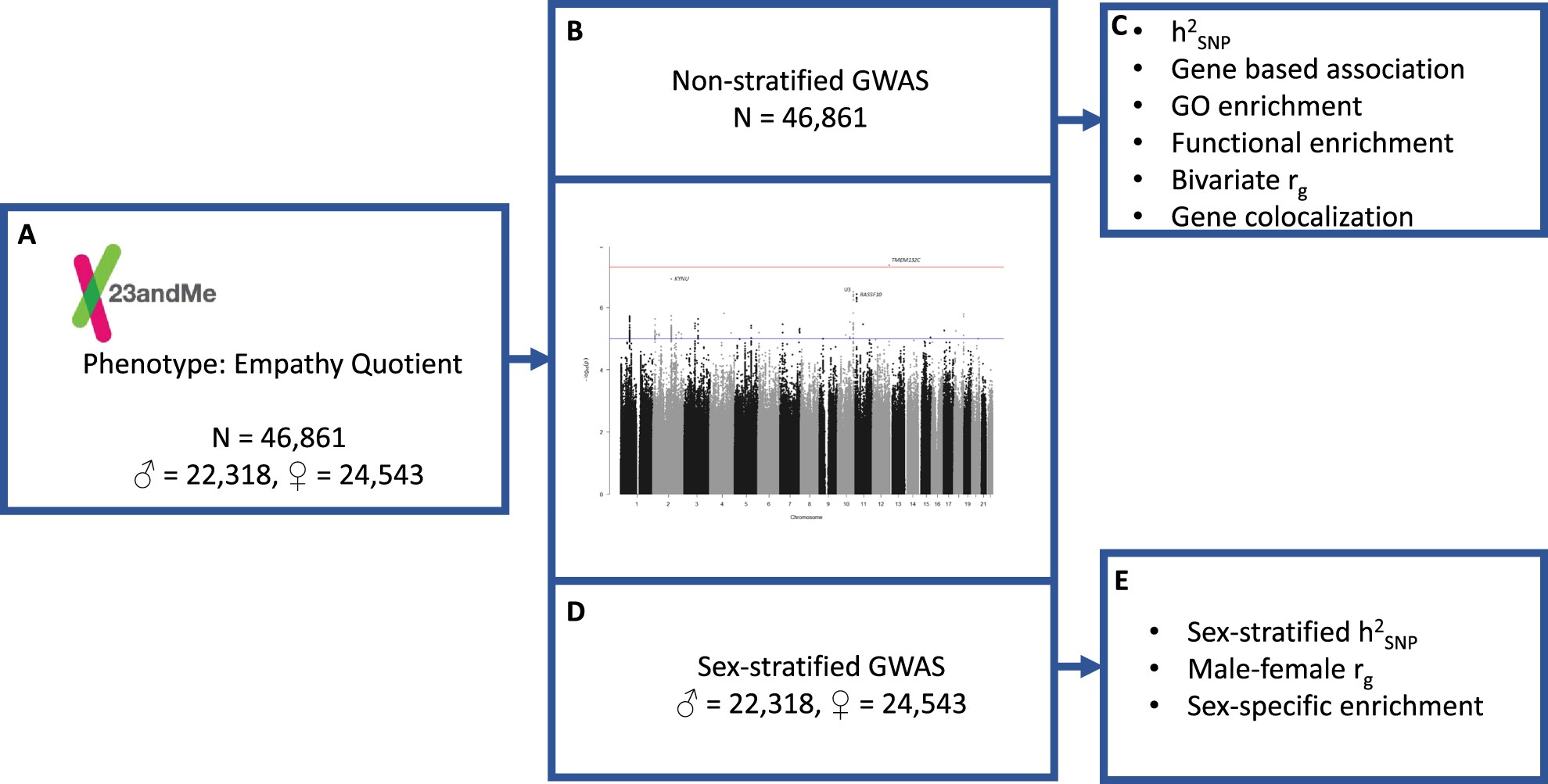 Genome-wide analyses of correlations with and anorexia nervosa | Translational Psychiatry
