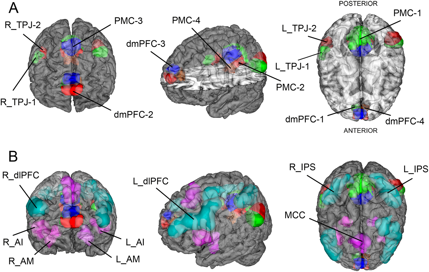 Autism Shares Brain Signature With >> Shared Endo Phenotypes Of Default Mode Dysfunction In Attention Autism Shares Brain Signature With >> Shared Endo Phenotypes Of Default Mode Dysfunction In Attention