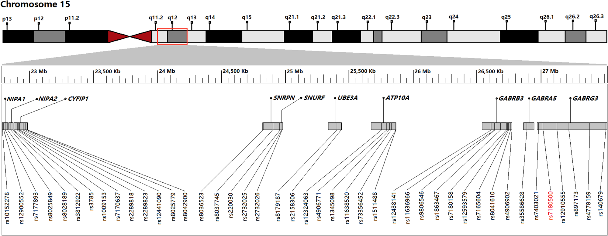 Study Pinpoints Autism Linked Protein >> Association Study And Mutation Sequencing Of Genes On Chromosome Study Pinpoints Autism Linked Protein >> Association Study And Mutation Sequencing Of Genes On Chromosome