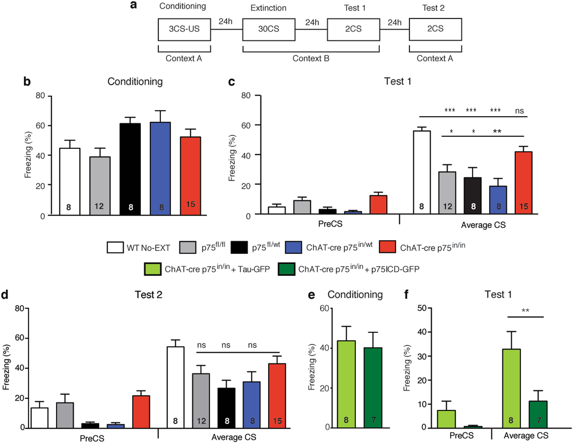 Cholinergic Basal Forebrain Neurons Regulate Fear Extinction