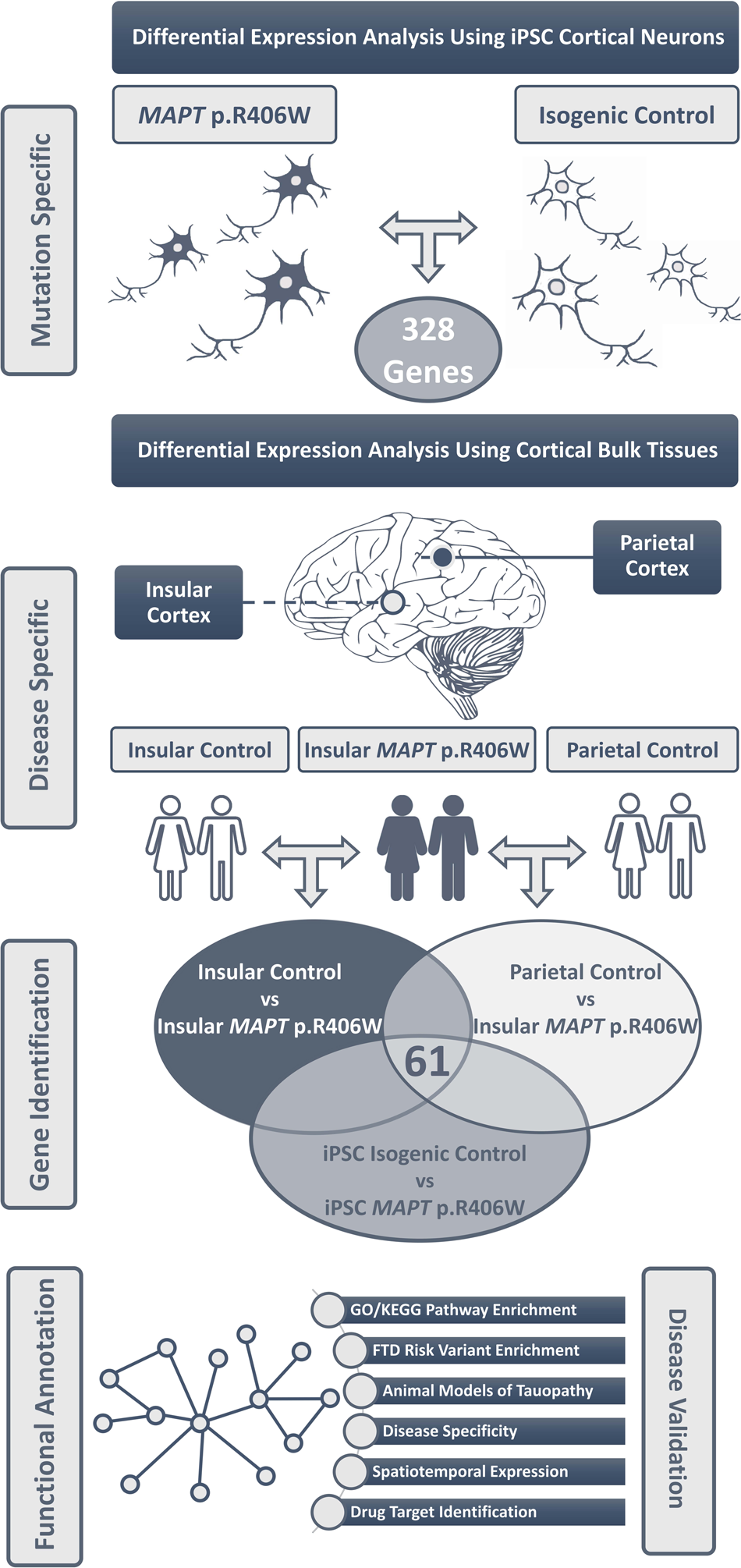 Fig. 1: Integrative analysis to define genes and pathways dysregulated in FTLD with MAPT p.R406W.