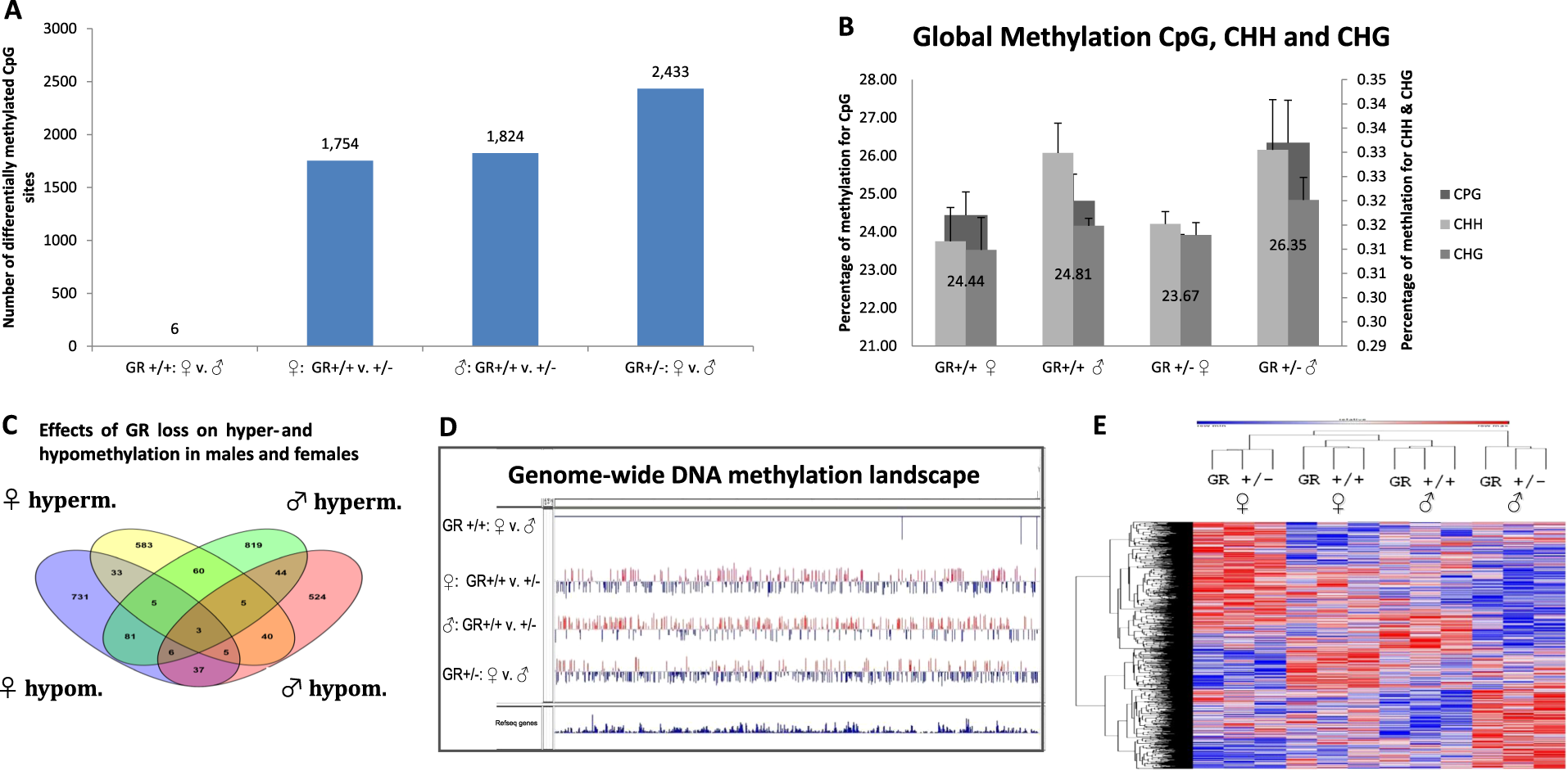 Fig. 2: Sex-dependent effects of Nr3c1 deficiency.