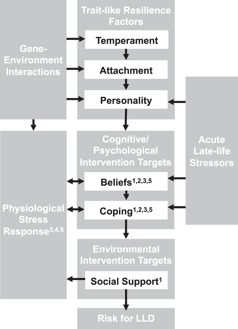 Psychobiological factors of resilience and depression in late life |  Translational Psychiatry