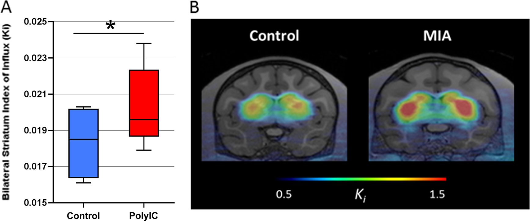 Preliminary Evidence Of Increased Striatal Dopamine In A Nonhuman