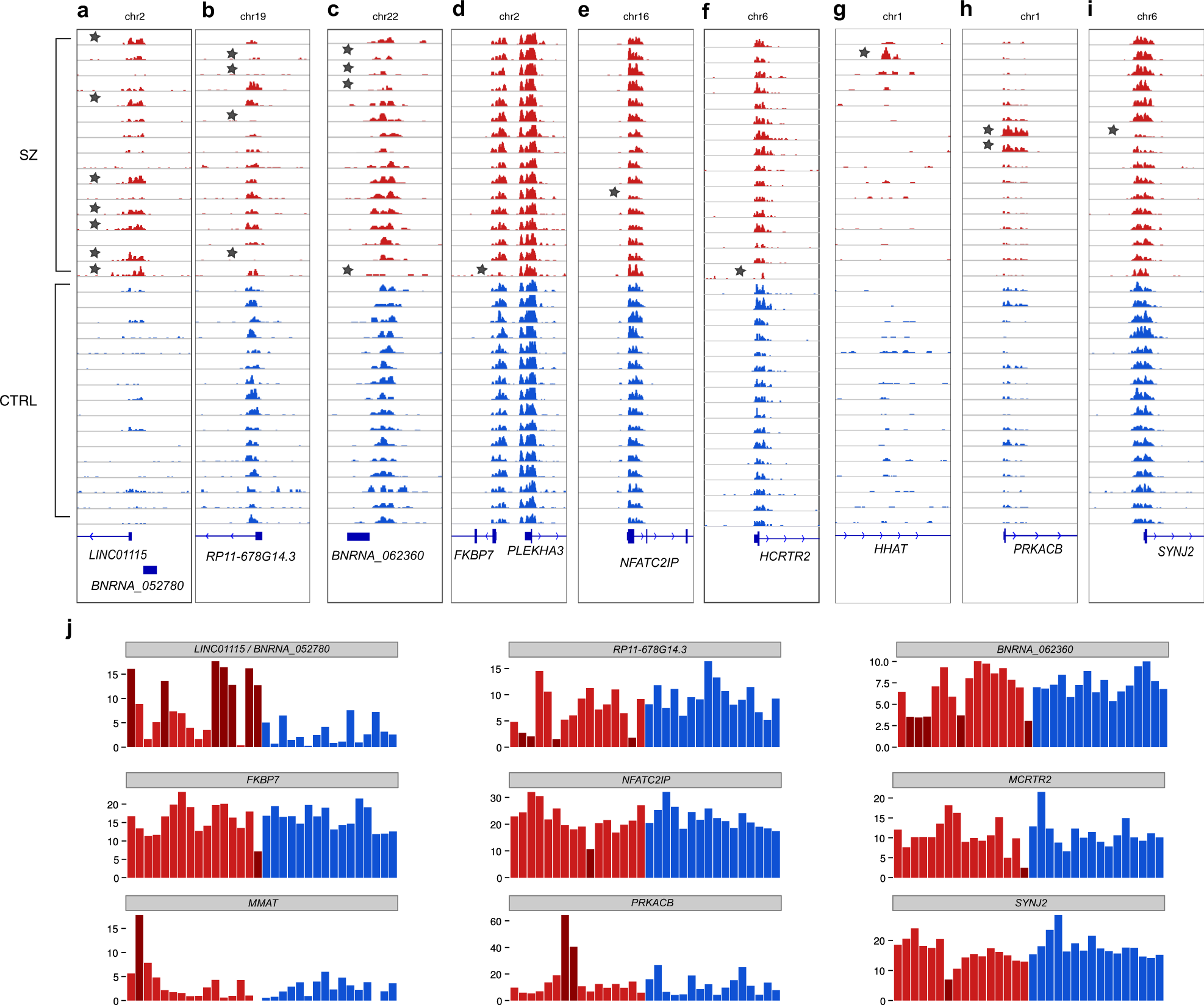 Fig. 1: Examples of alterations in chromatin loci in patients with SZ.