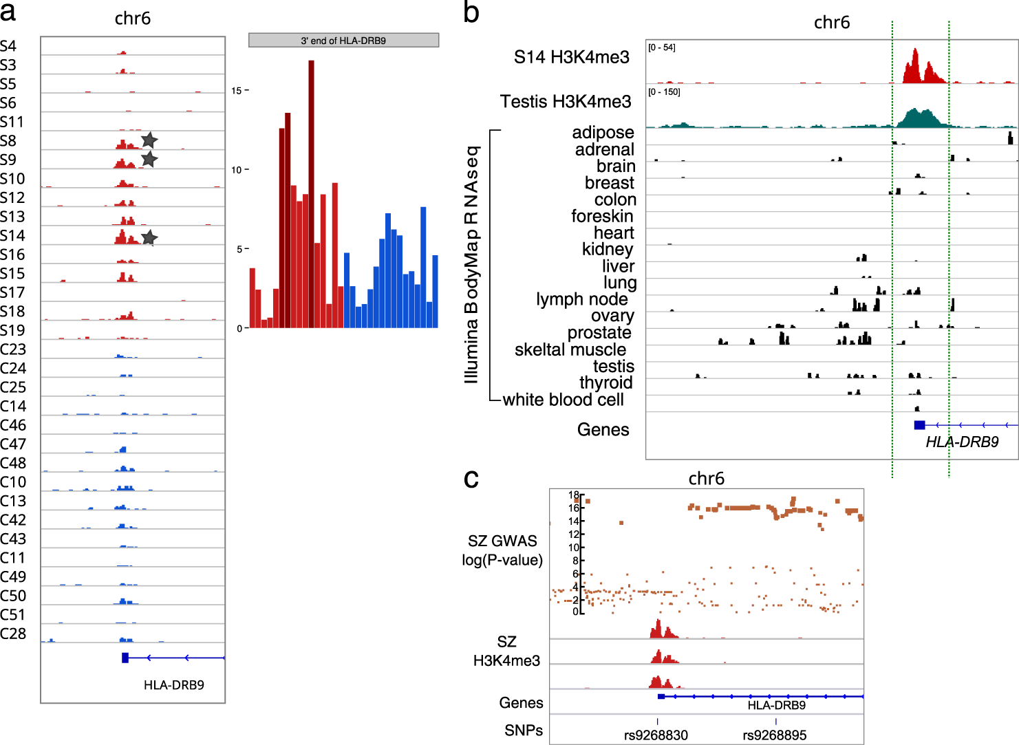 Fig. 2: Analysis of the HLA-DRB9 locus.