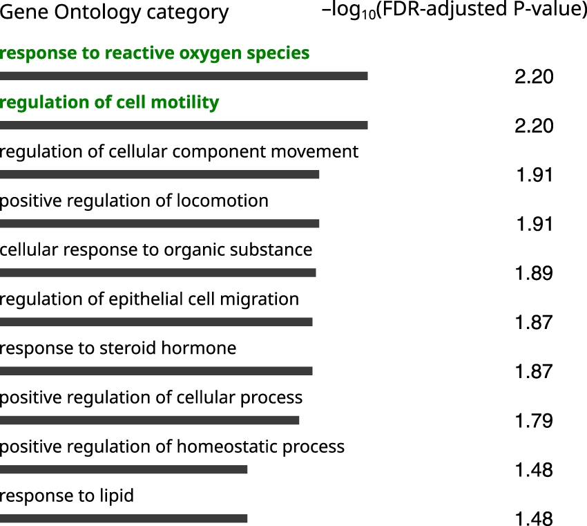 Fig. 4: Top 10 enriched gene ontology terms analyzed with ConsensusPathDB for the SZ14 group.