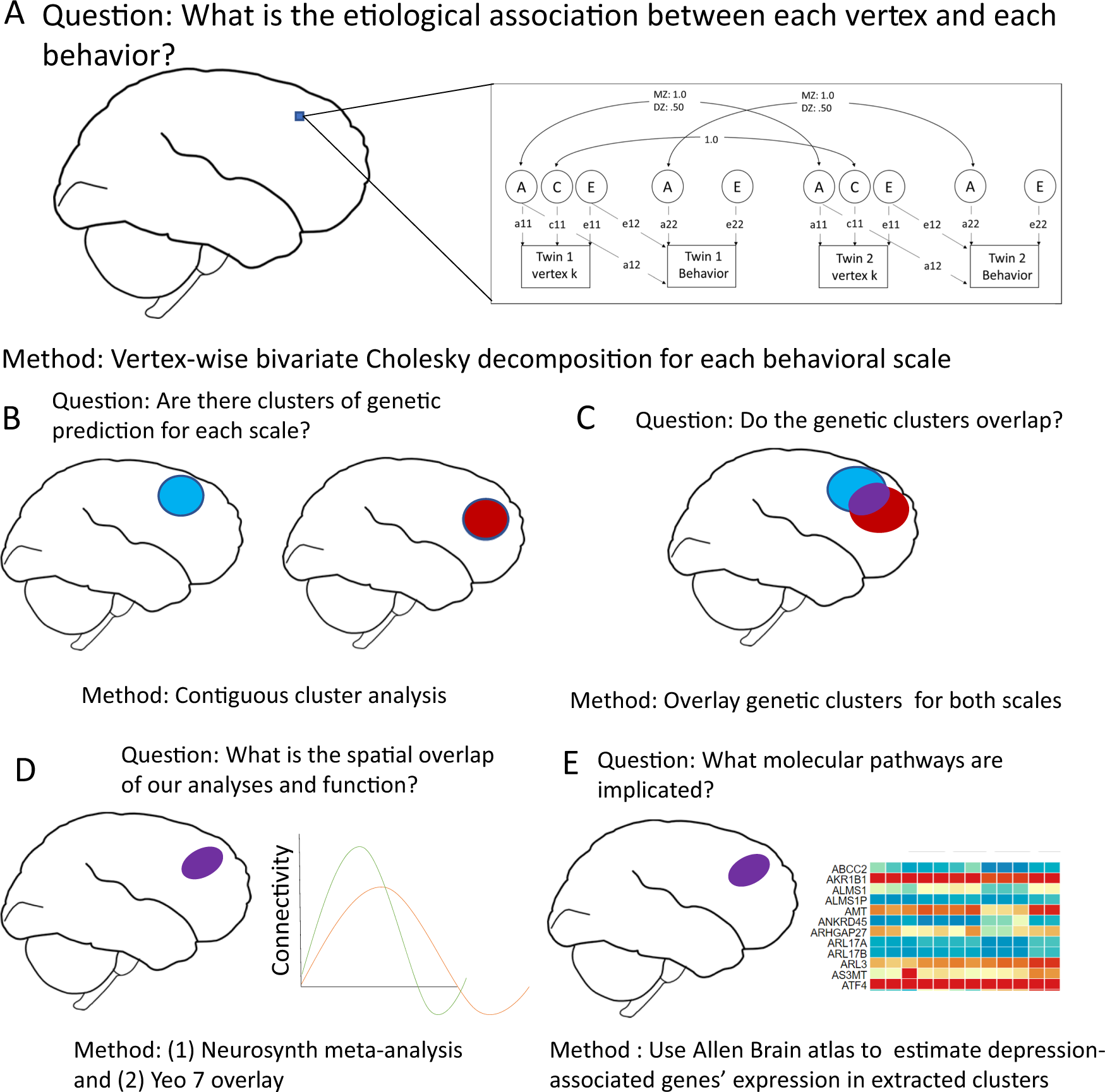 Survey Of Common Genetic Disorders Ap Biology Chart Answers