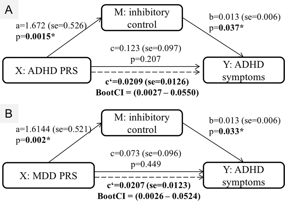 Fig. 3: Mediation analysis results for PRS, inhibitory control and ADHD symptoms.