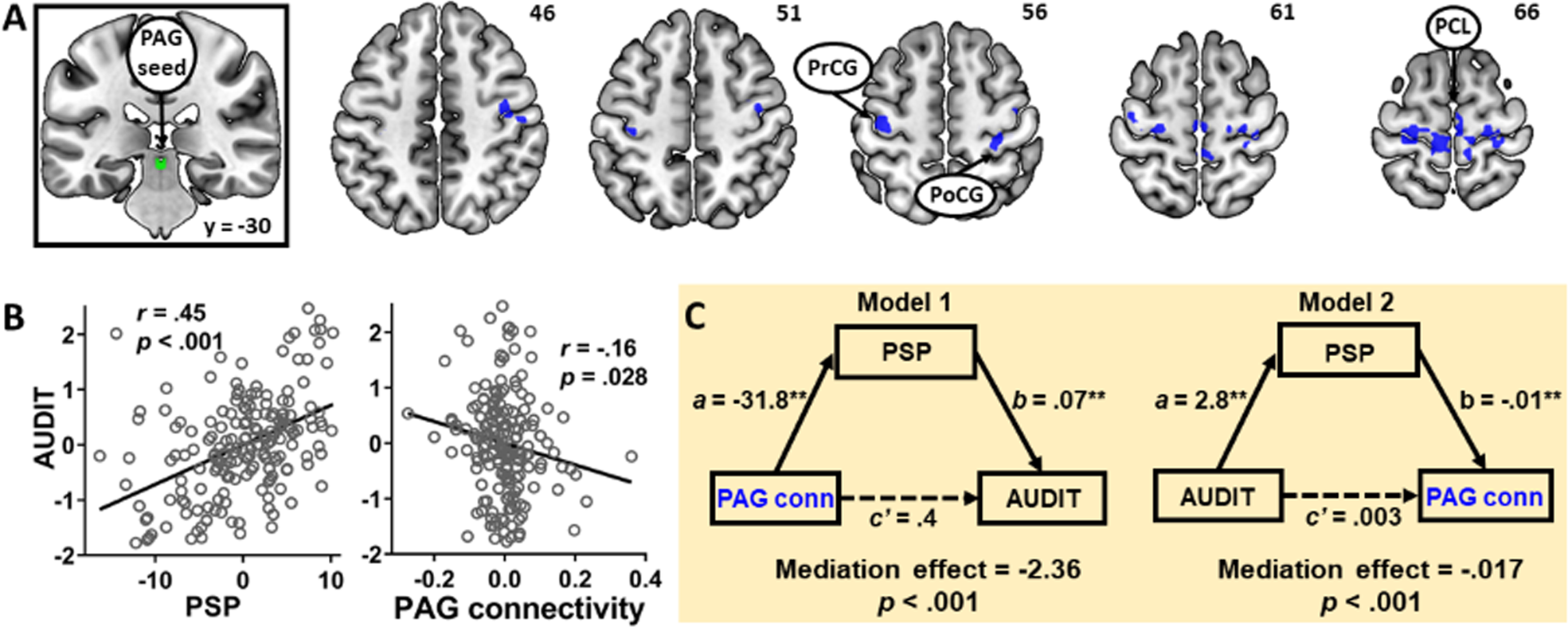 Pain and reward circuits antagonistically modulate alcohol expectancy to  regulate drinking | Translational Psychiatry
