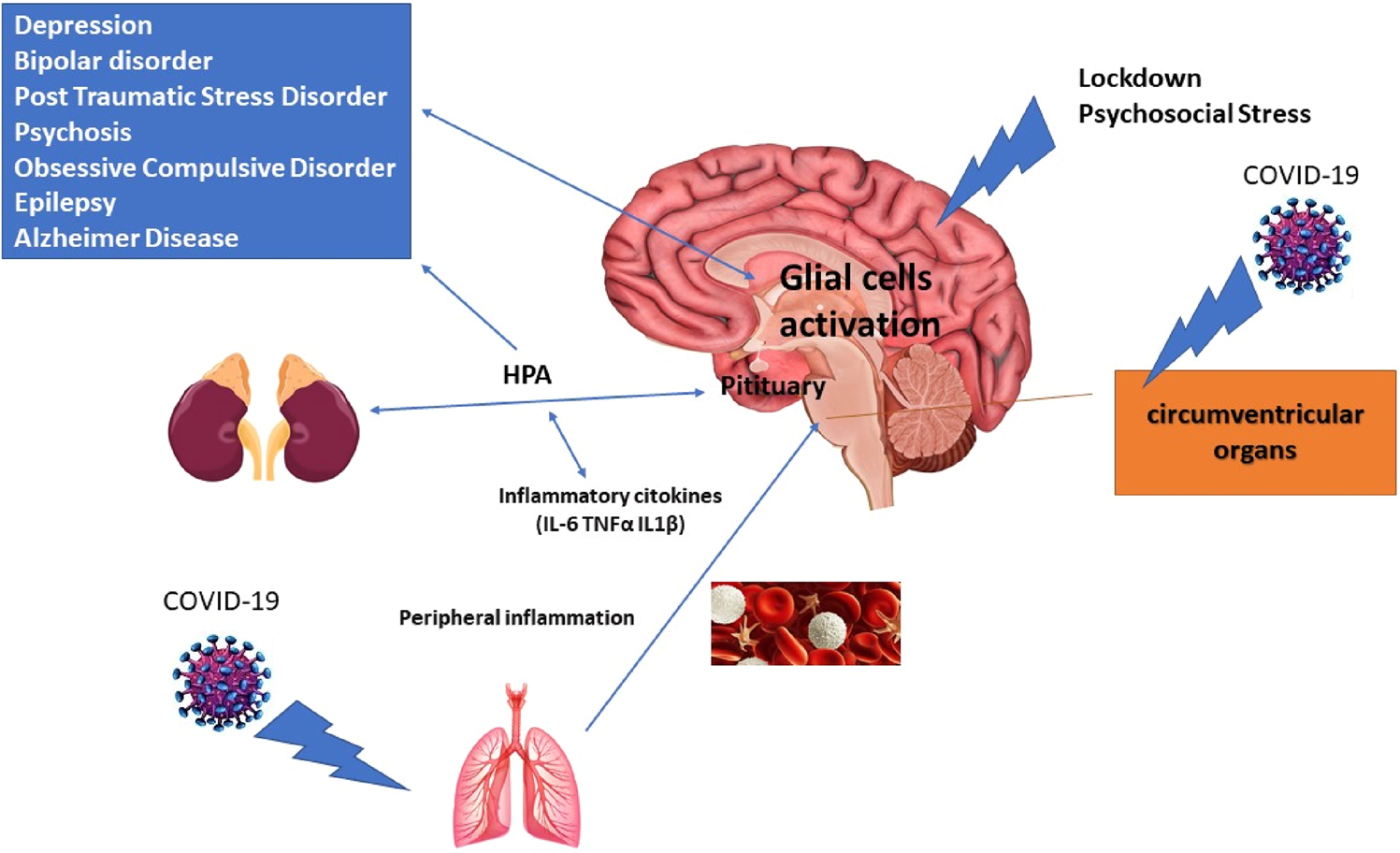 Psychiatric face of COVID-19 | Translational Psychiatry