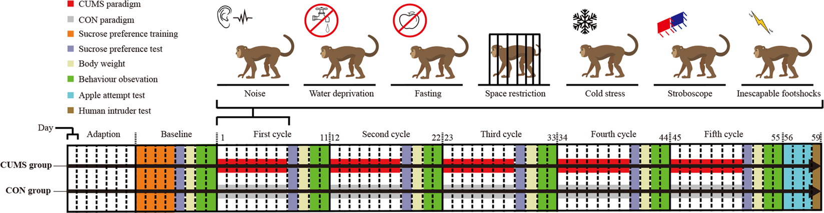 Action For Primates