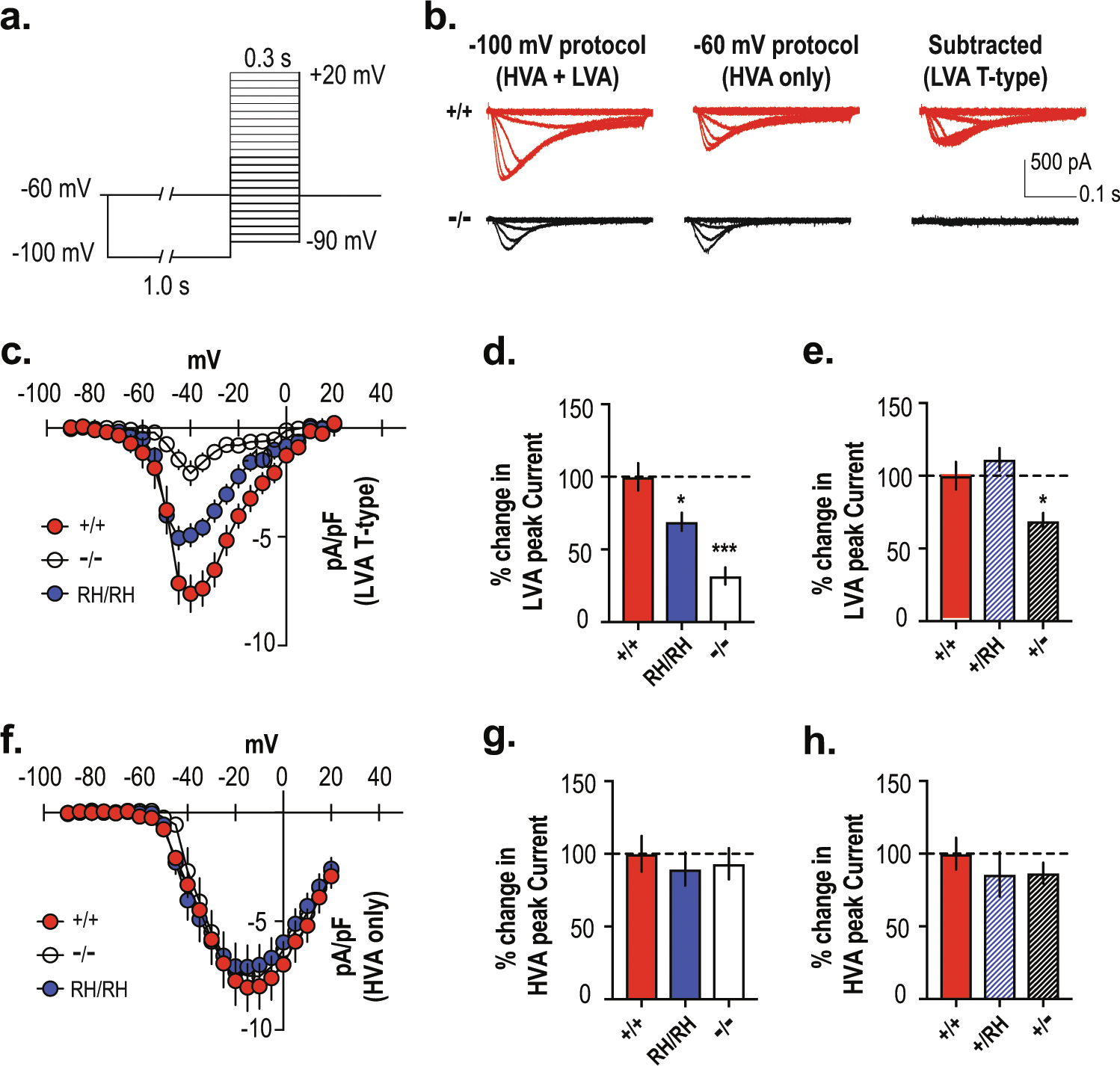 Fig. 2: Reduction of T-type Ca2+ current in the Cacna1iRH/RH and Cacna1i−/− TRN neurons.