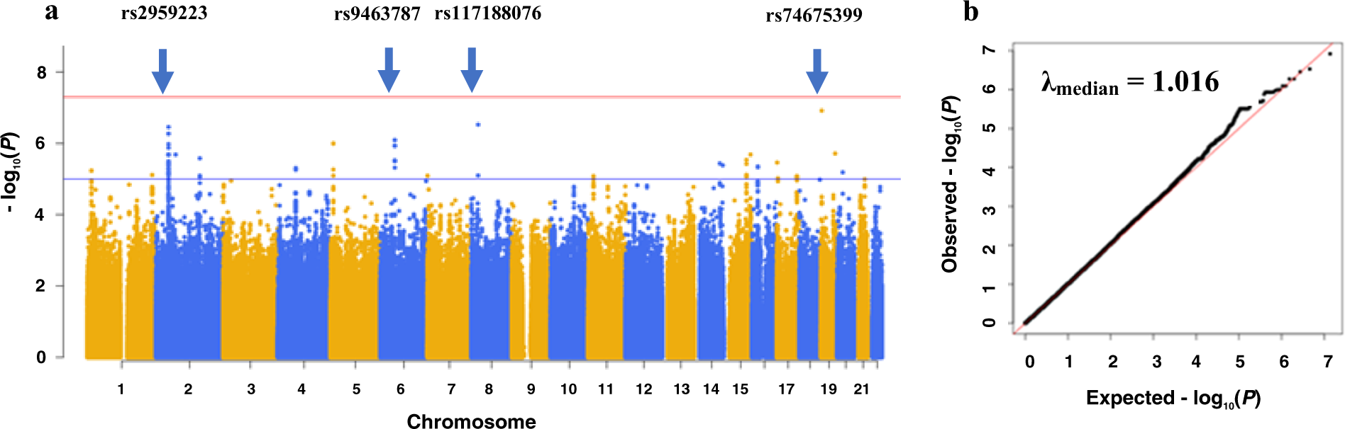 Fig. 1: Association of genome-wide genetic variants in clozapine-induced myocarditis cases compared with clozapine-tolerant controls.