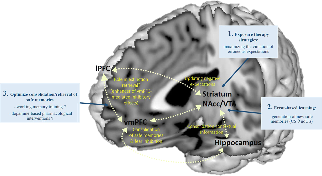 Dopamine From Prediction Error To Psychotherapy Translational Psychiatry