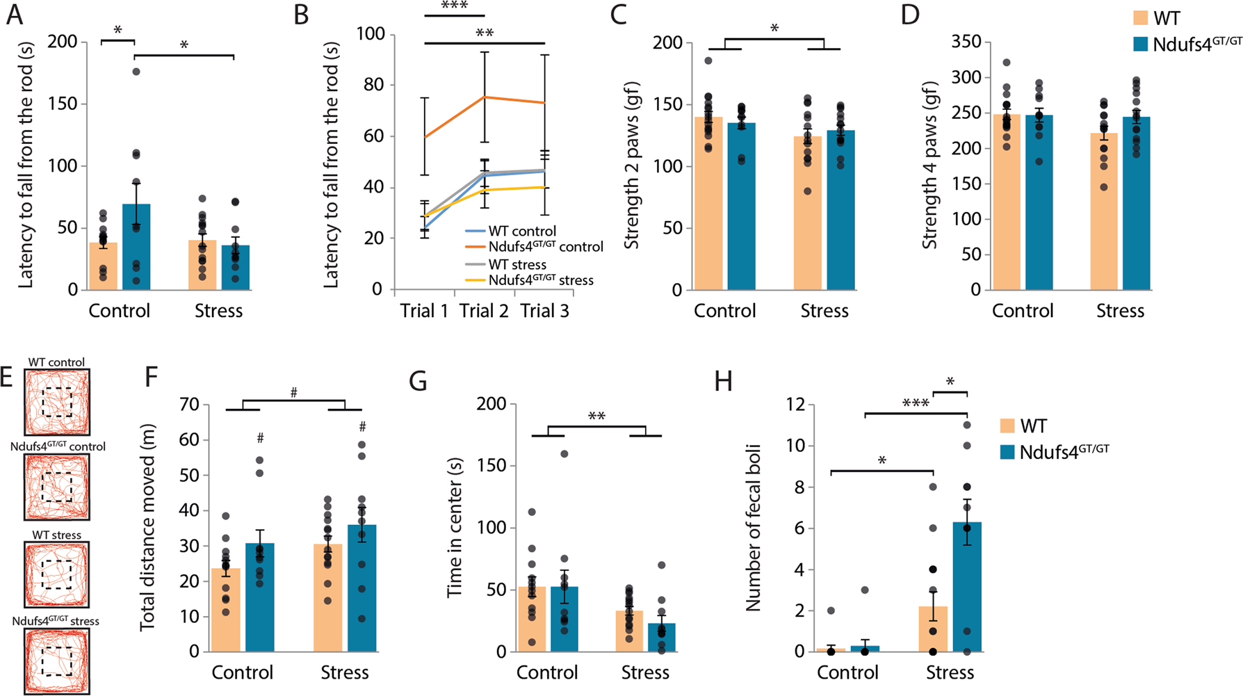 Fig. 2: Lower mitochondrial complex I function in Ndufs4GT/GT mice did not negatively impact locomotor function or grip strength, but Ndufs4GT/GT mice showed slightly more anxiety-related behavior following stress.