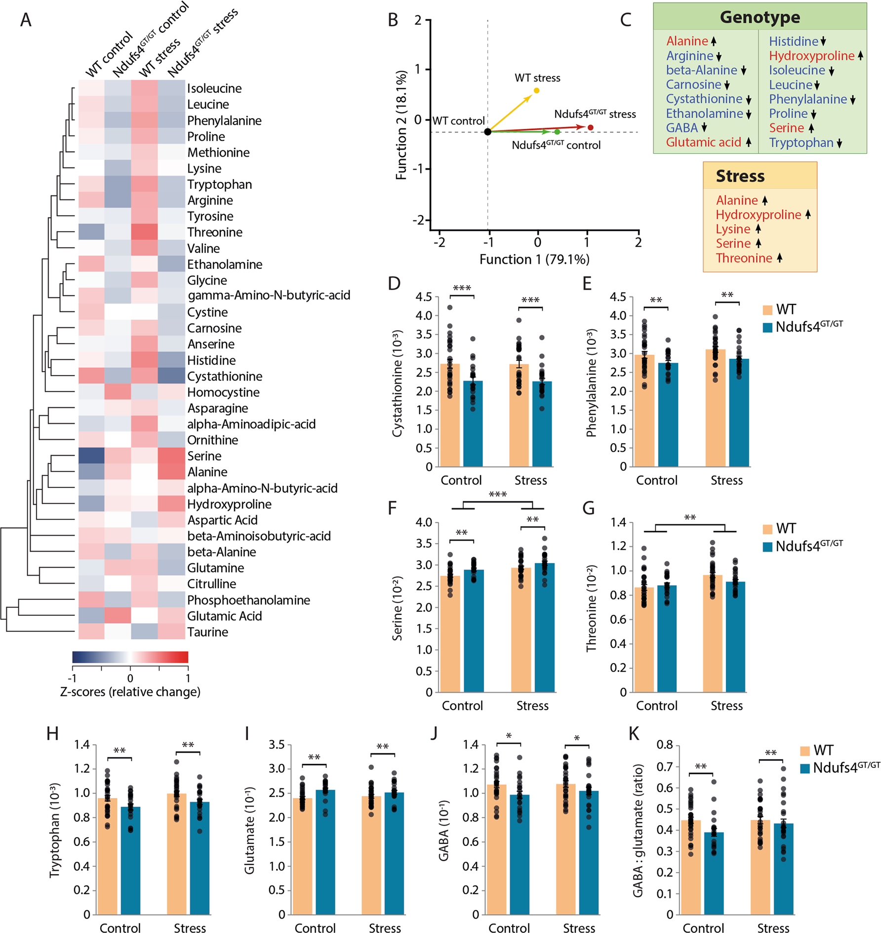 Fig. 4: Ndufs4GT/GT mice and chronically stressed mice show an altered metabolic rewiring.