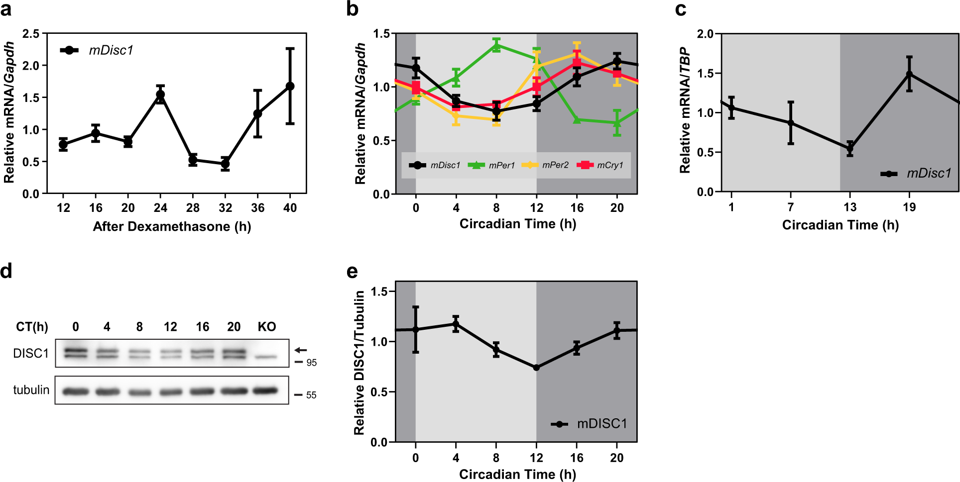 Disrupted In Schizophrenia 1 Enhances The Quality Of Circadian Rhythm By Stabilizing Bmal1 Translational Psychiatry