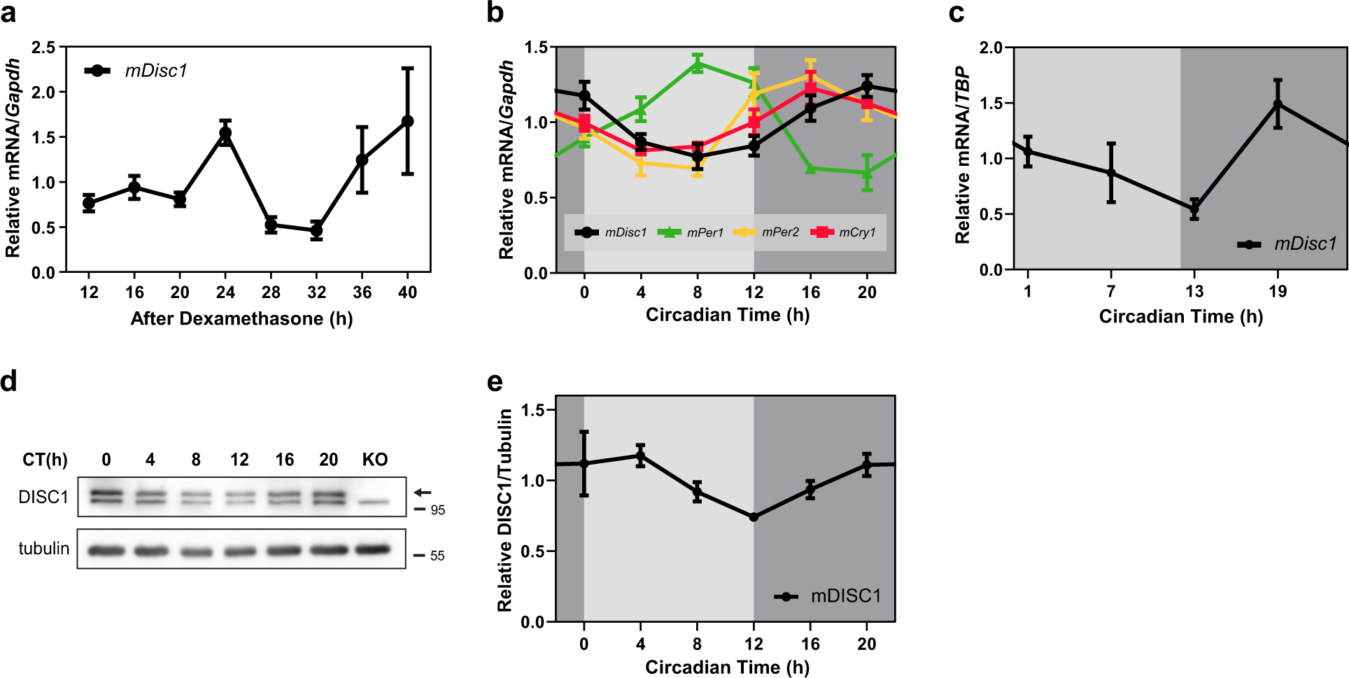 Disrupted In Schizophrenia 1 Enhances The Quality Of Circadian Rhythm By Stabilizing Bmal1 Translational Psychiatry Disrupted In Schizophrenia 1 Enhances The Quality Of Circadian Rhythm By Stabilizing Bmal1 Translational Psychiatry