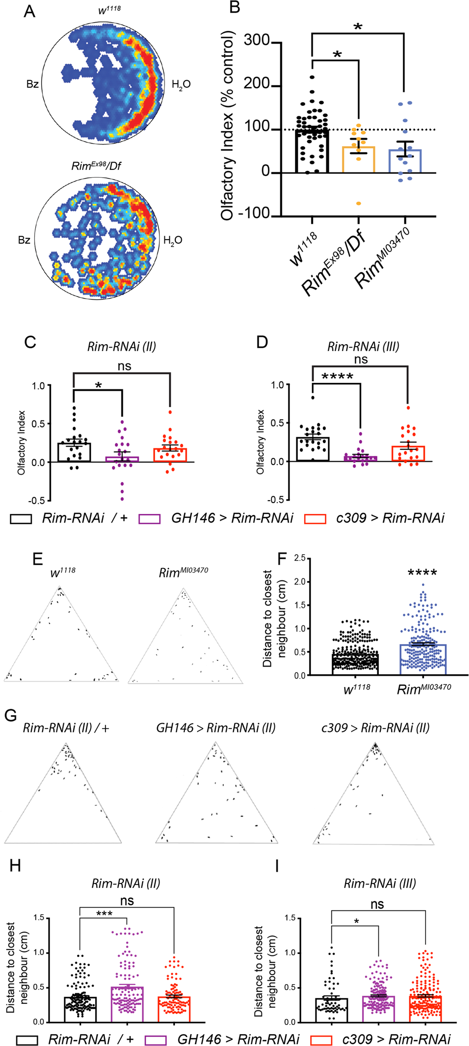 Assessing Olfactory Memory Social And Circadian Phenotypes Associated With Schizophrenia In A Genetic Model Based On Rim Translational Psychiatry Assessing Olfactory Memory Social And Circadian Phenotypes Associated With Schizophrenia In A Genetic Model Based On Rim Translational Psychiatry