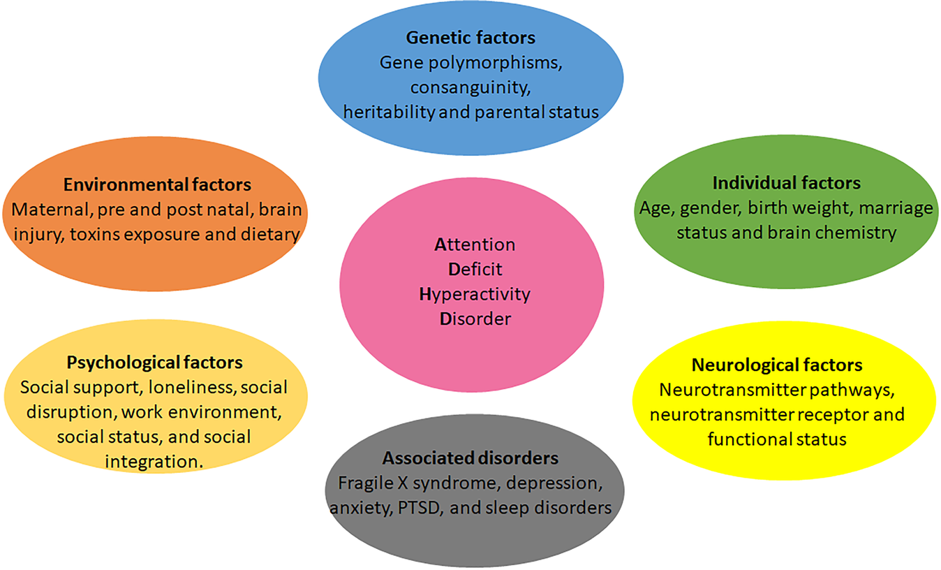 heredity factors affecting child development