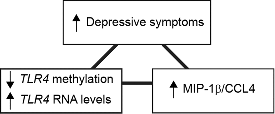 Fig. 1: Overview of the statistical associations.