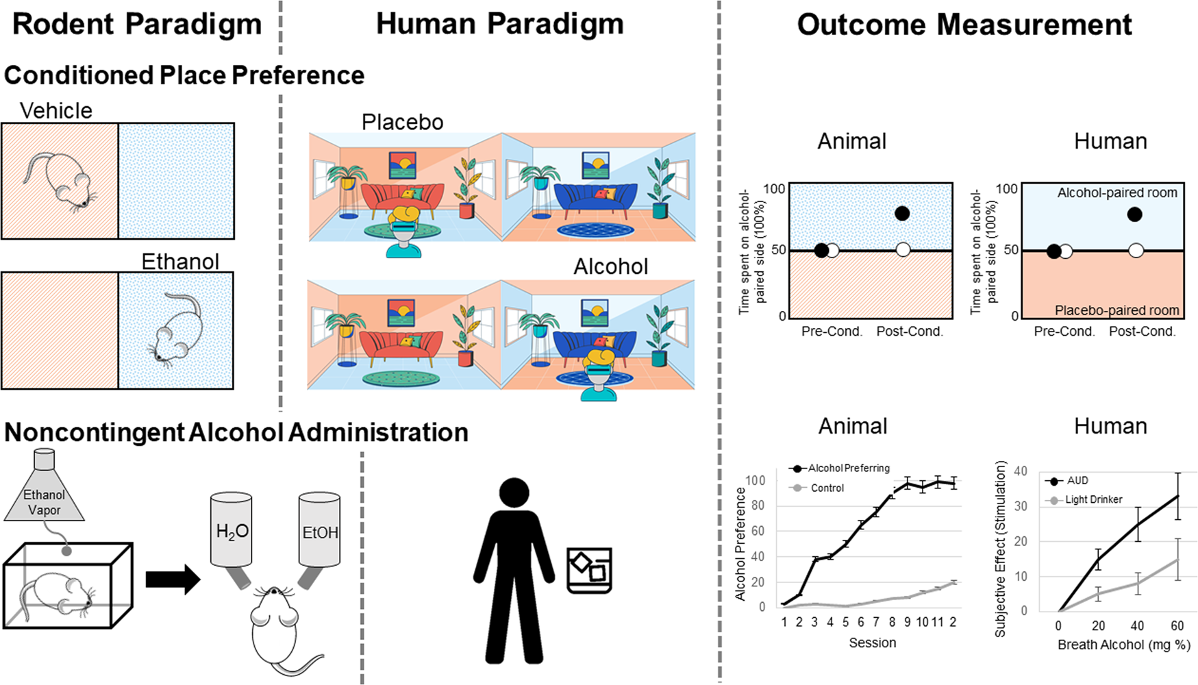Translational opportunities in animal and human models to study alcohol use  disorder | Translational Psychiatry
