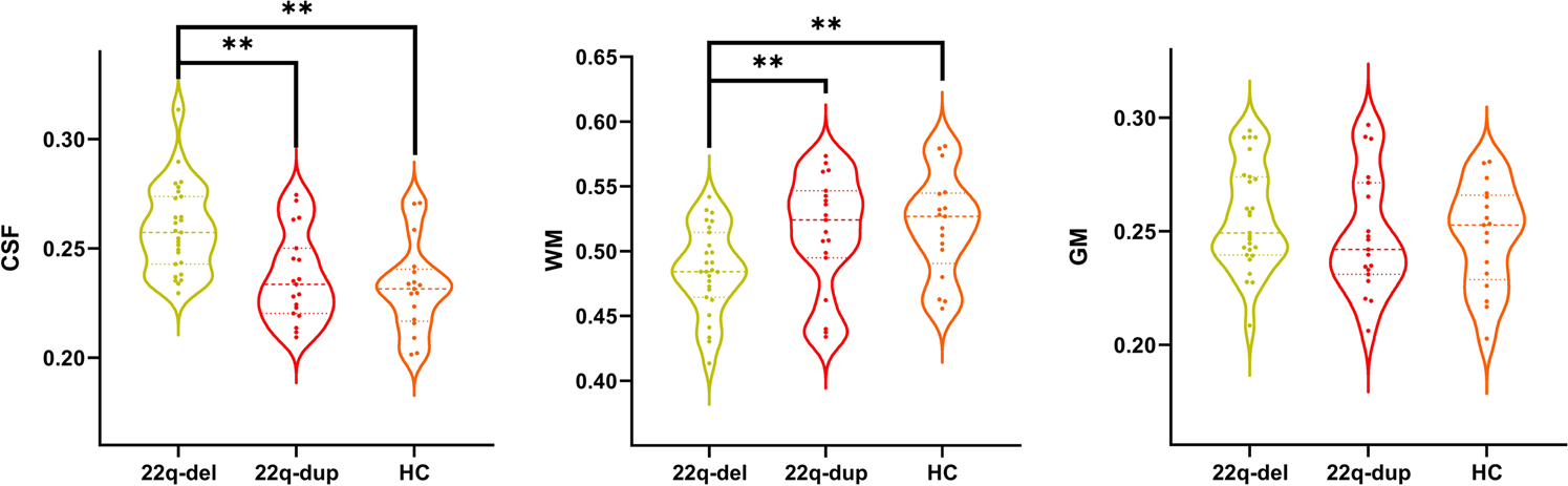 Fig. 2: Macrostructural volumetric measures across groups.