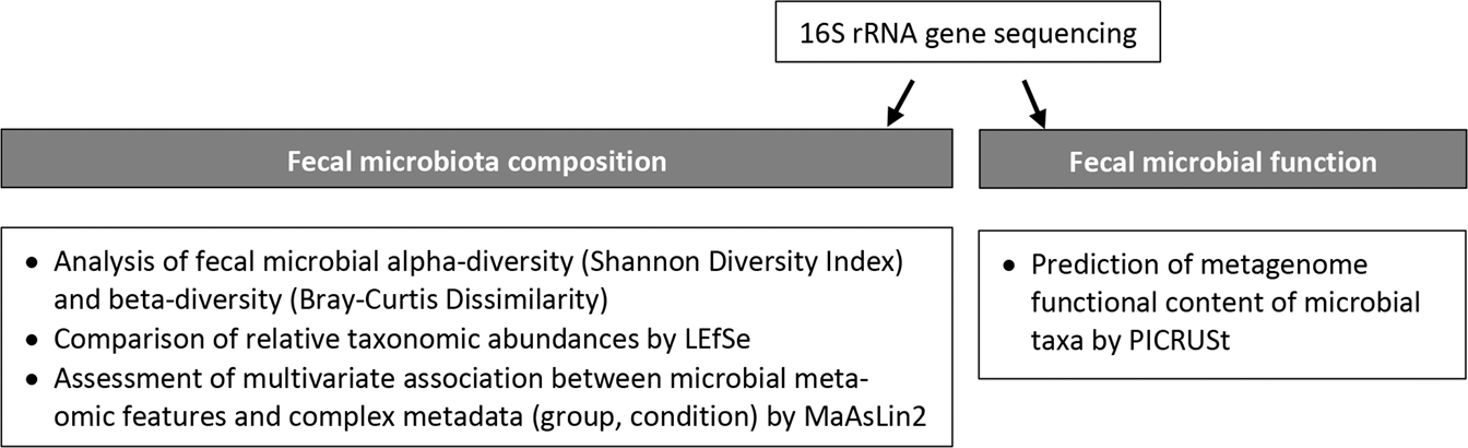 Gut microbiome and metabolome in a non-human primate model of chronic  excessive alcohol drinking | Translational Psychiatry