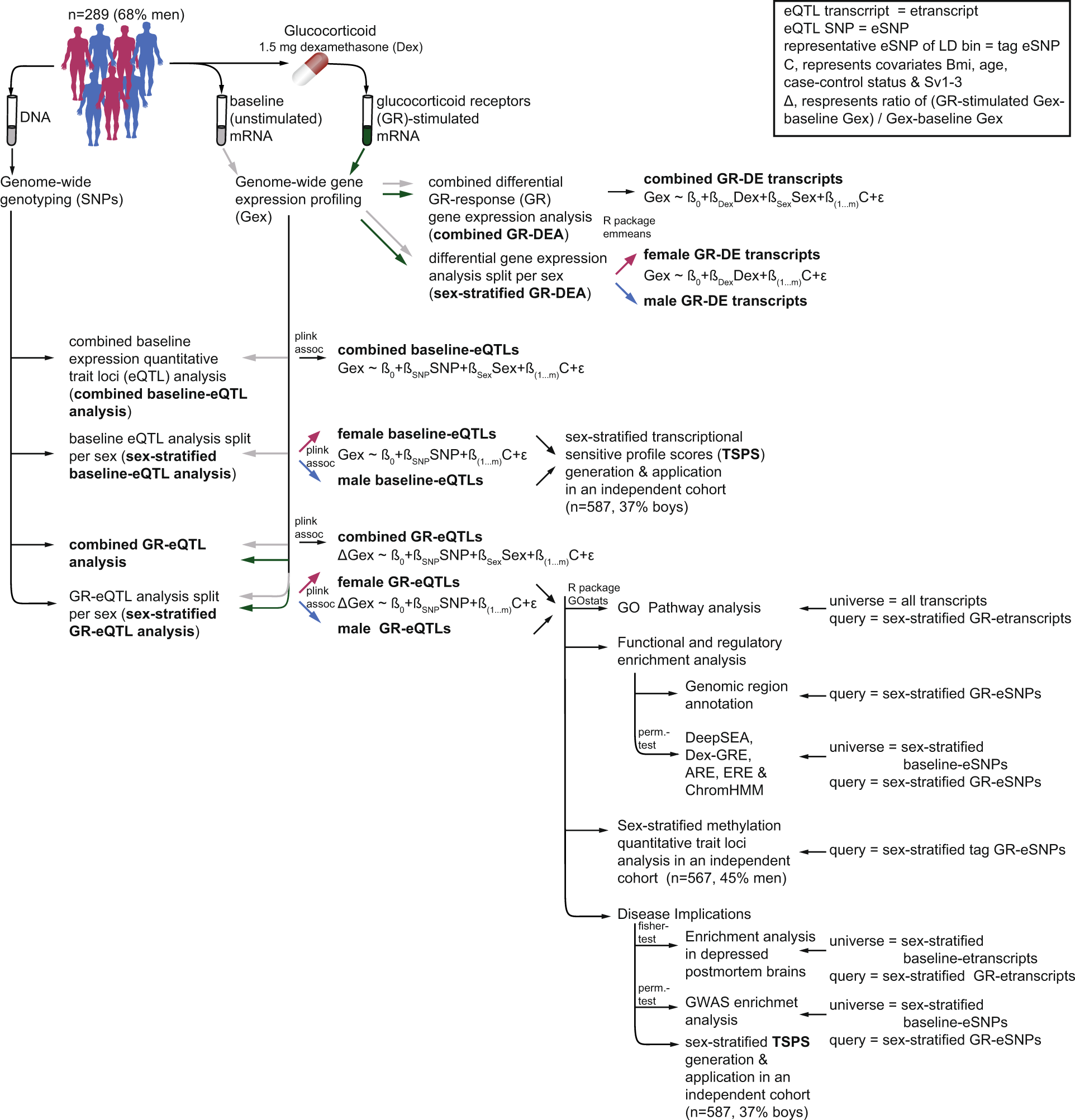 Fig. 1: Study Design and Work Flow.