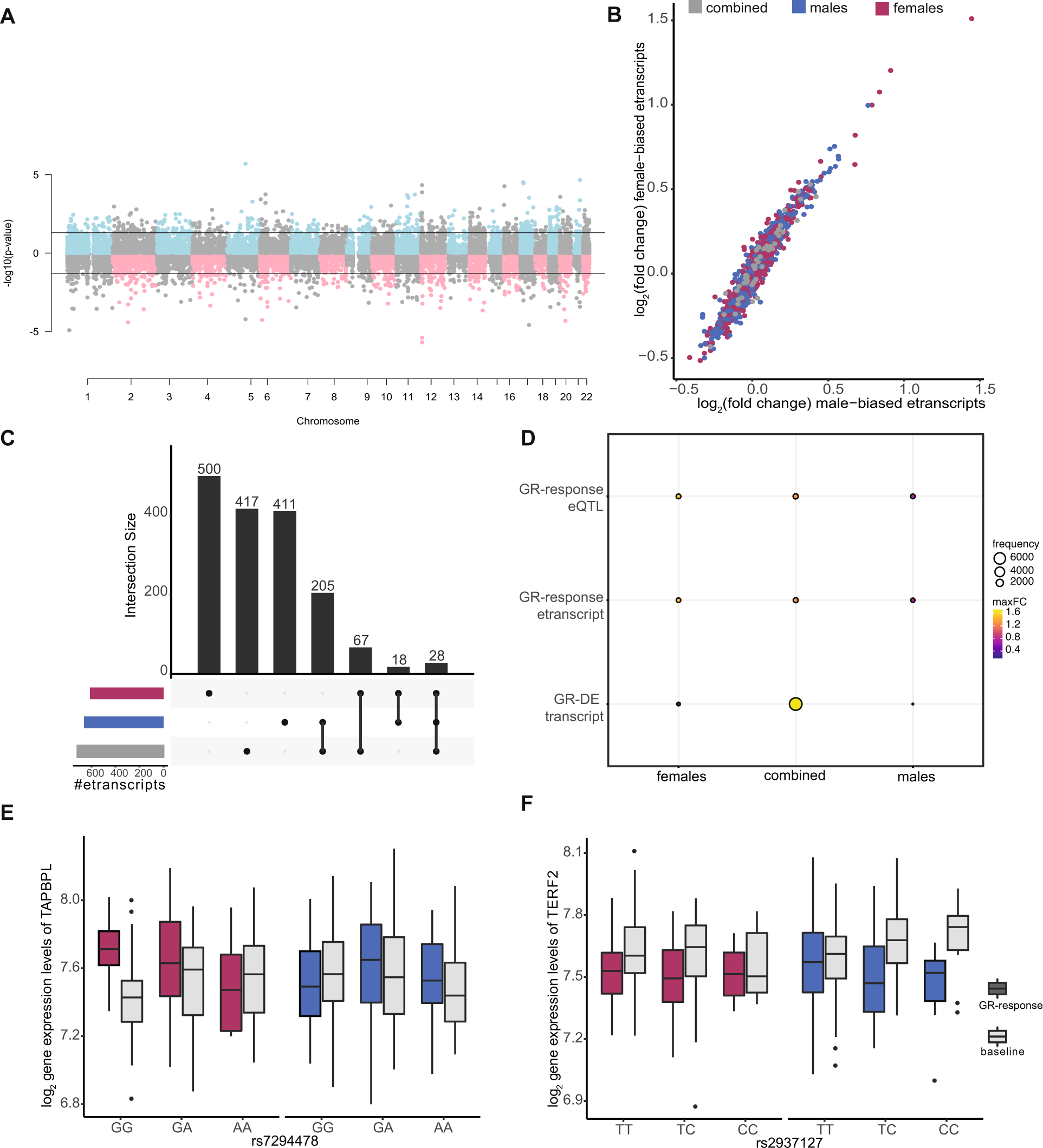 Fig. 3: GR-response cis-eQTL analyses results.