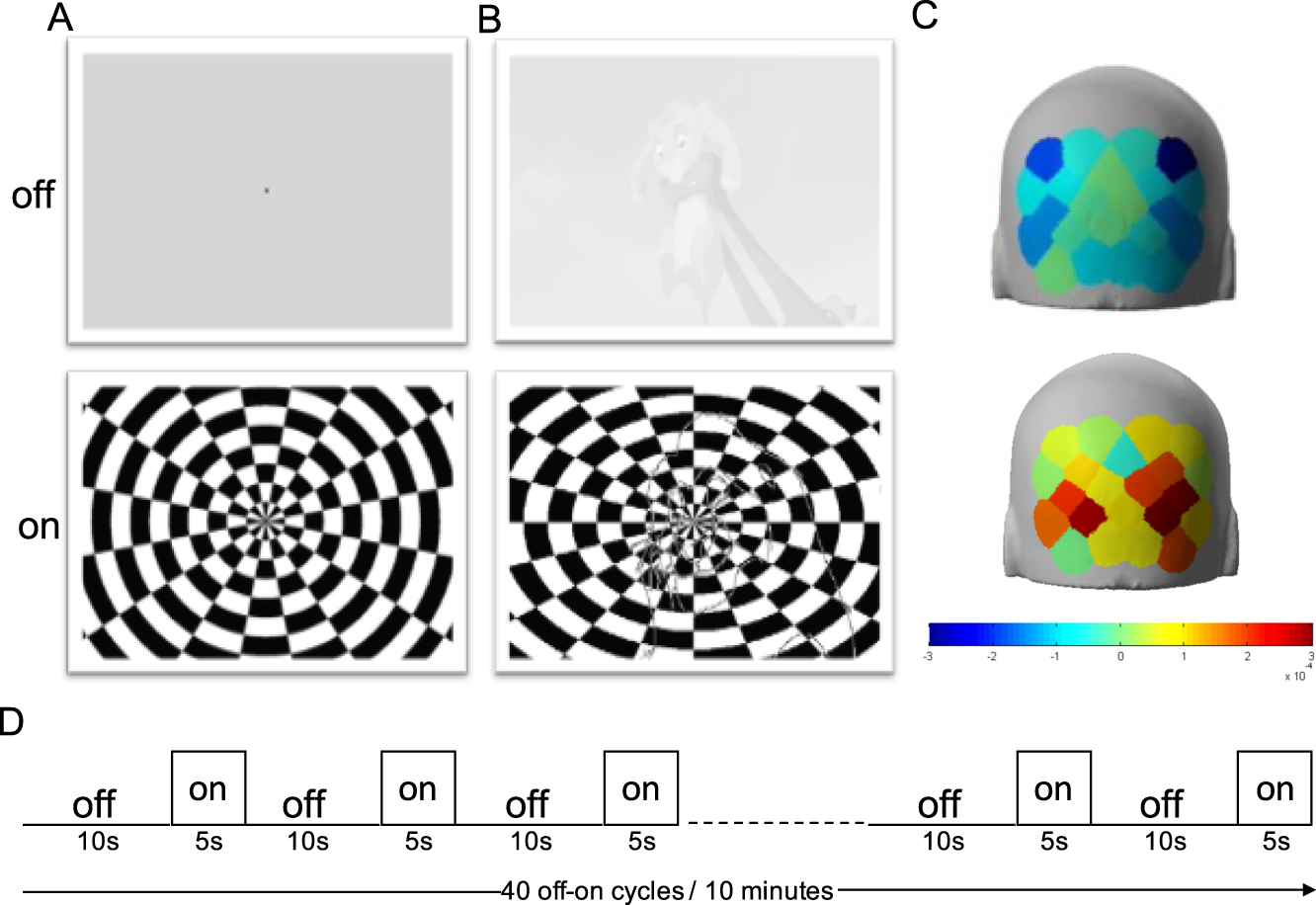 Fig. 1: Visual stimulation and experimental paradigm.