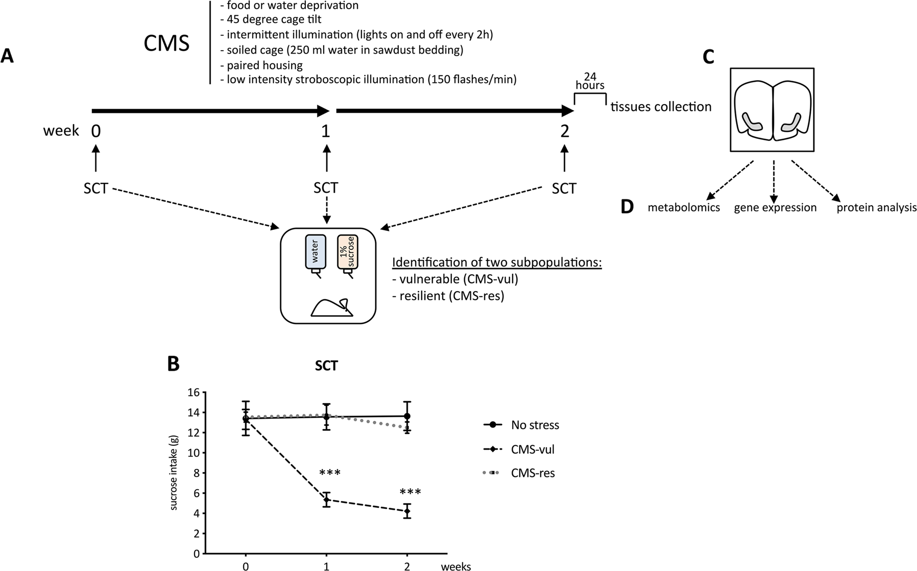 Fig. 1: Behavioral characterization of animals exposed to chronic mild stress.