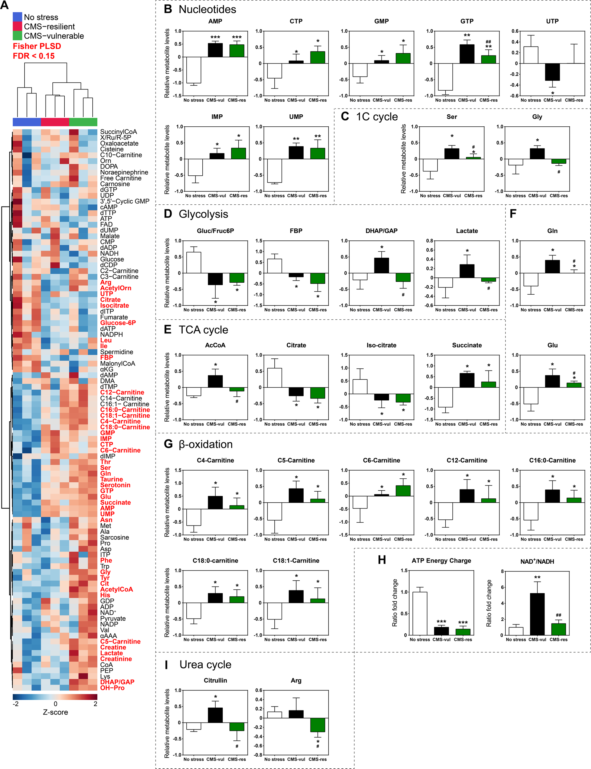 Fig. 3: Metabolite levels in the vHip of rats exposed to CMS.