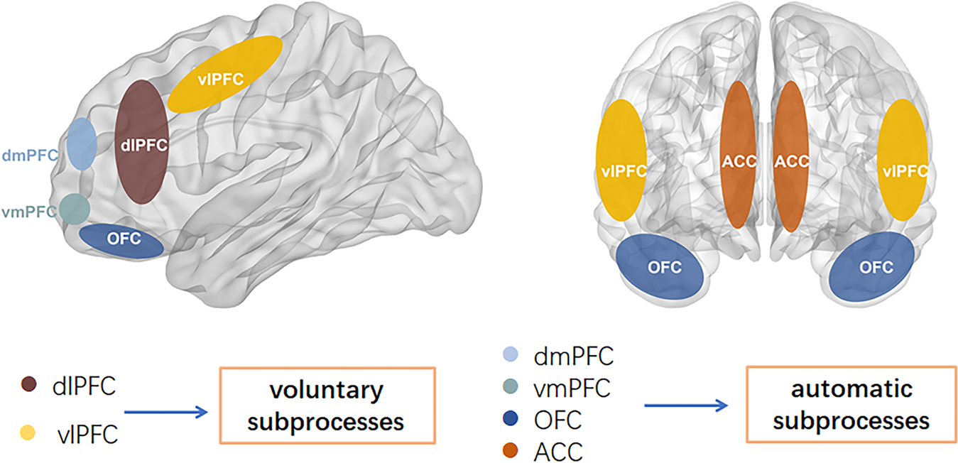 Aberrant inhibitory processing in the somatosensory cortices of