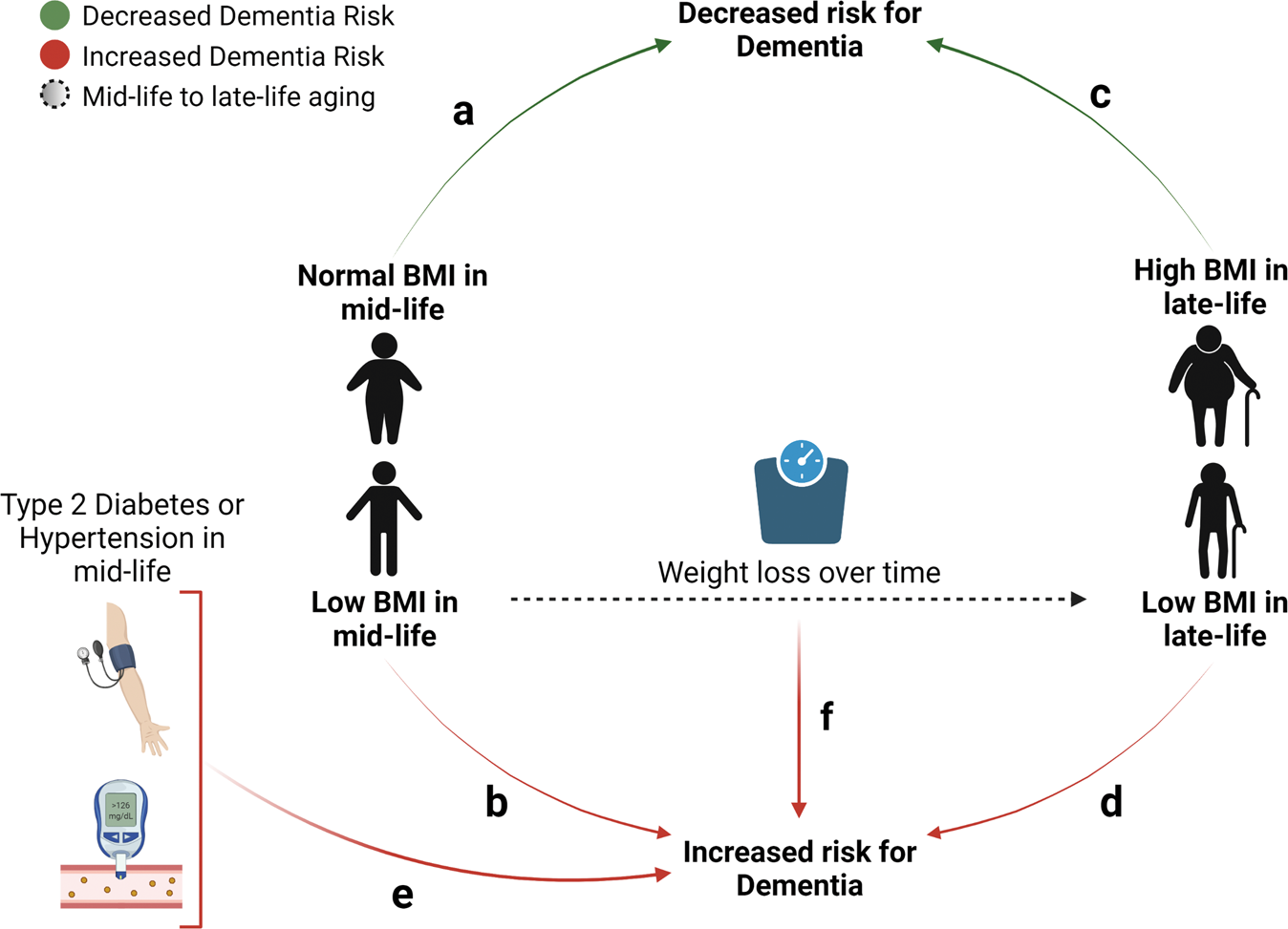 Alzheimer's disease: Can time-restricted eating improve symptoms?