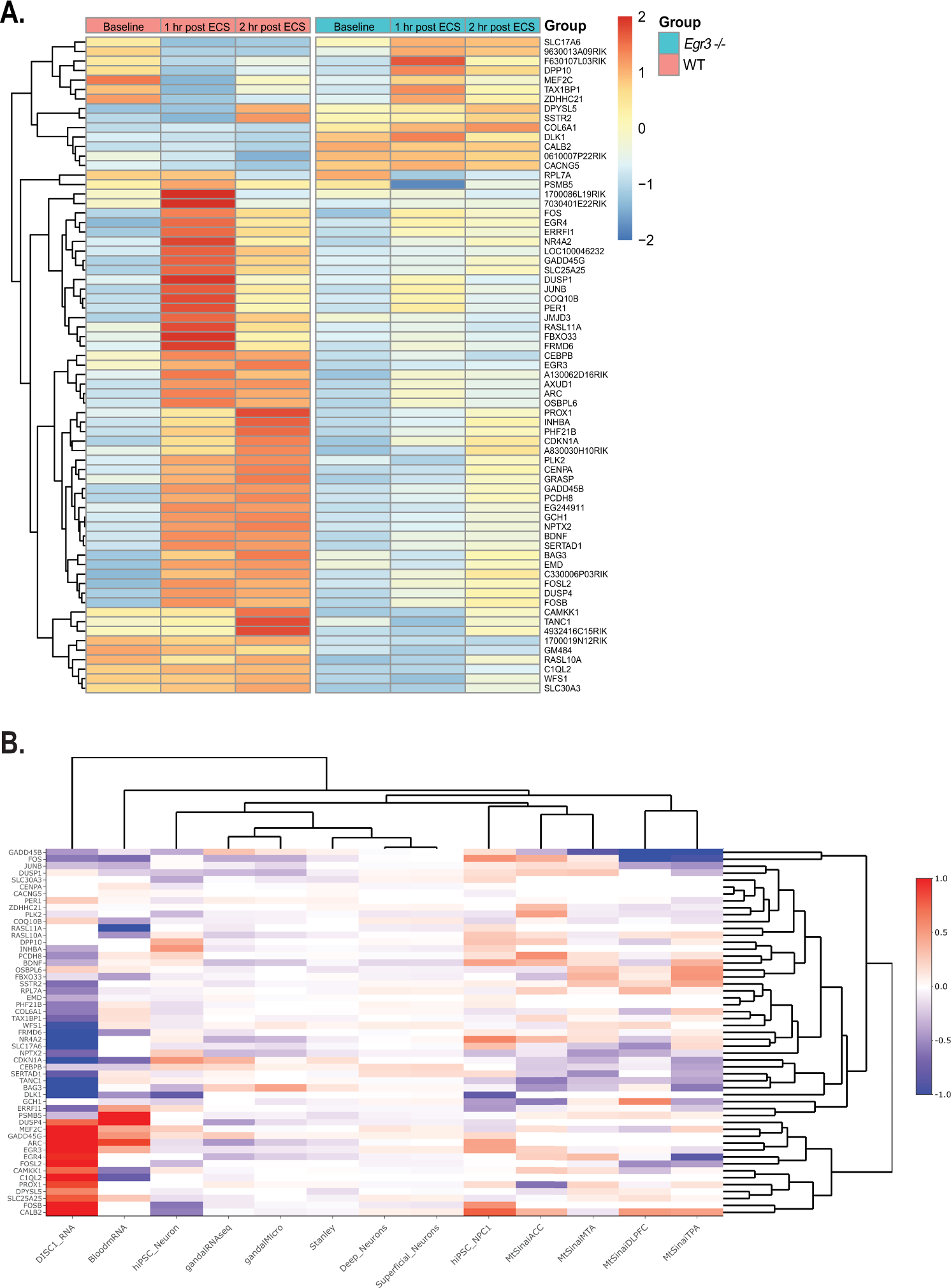 Fig. 1: EGR3-dependent genes show altered expression in schizophrenia studies.