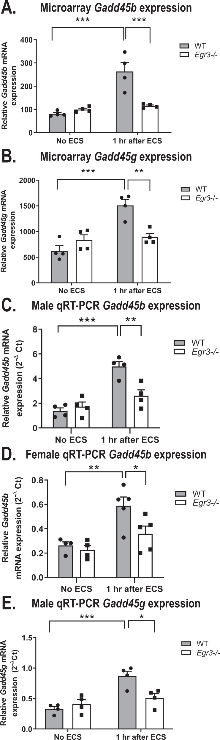 Fig. 3: GADD45 family genes are differentially expressed in Egr3−/− mice.