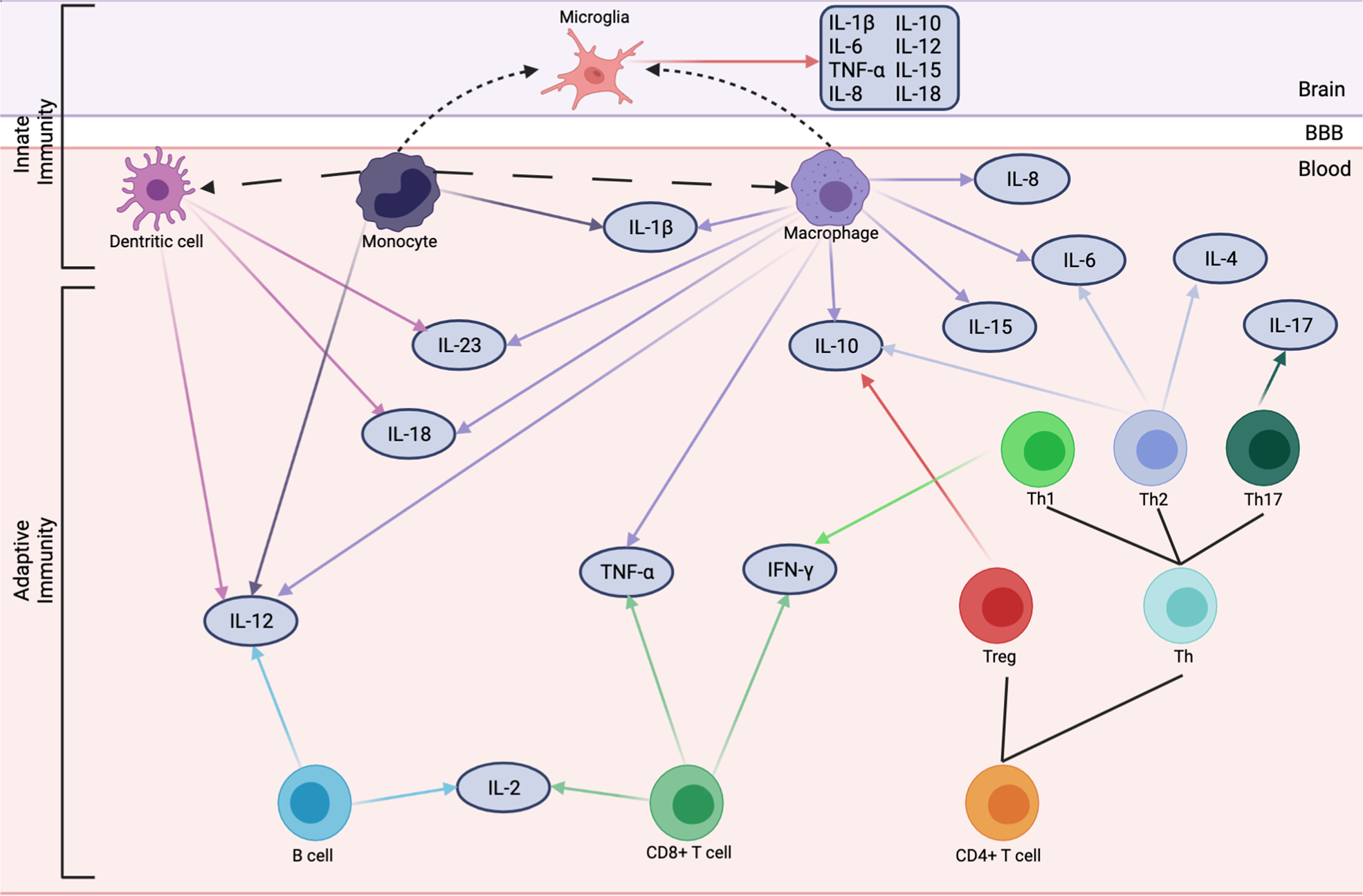 The role of the immune system in posttraumatic stress disorder |  Translational Psychiatry, image size:1970x1295