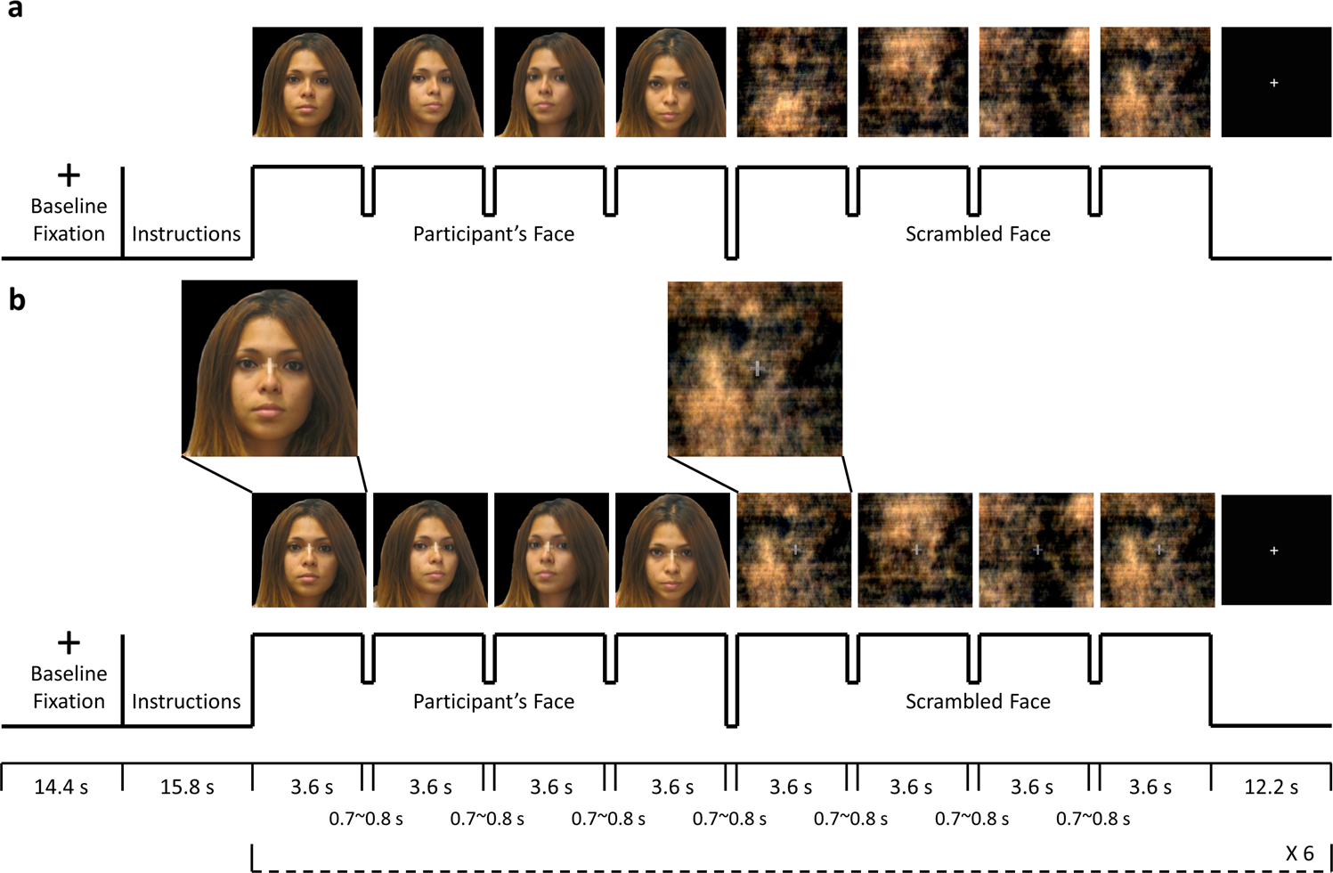 Neural and behavioral effects of modification of visual attention in body  dysmorphic disorder | Translational Psychiatry