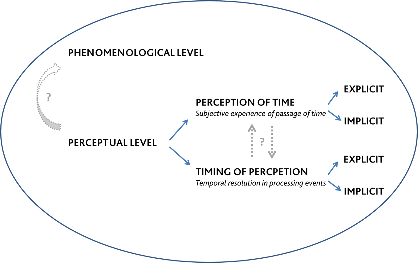 Phenomenology and the Social Context of Psychiatry: Social