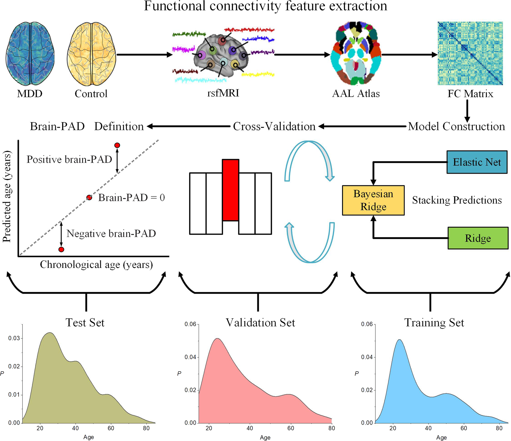 Effects of aging on functional connectivity in a neurodegenerative