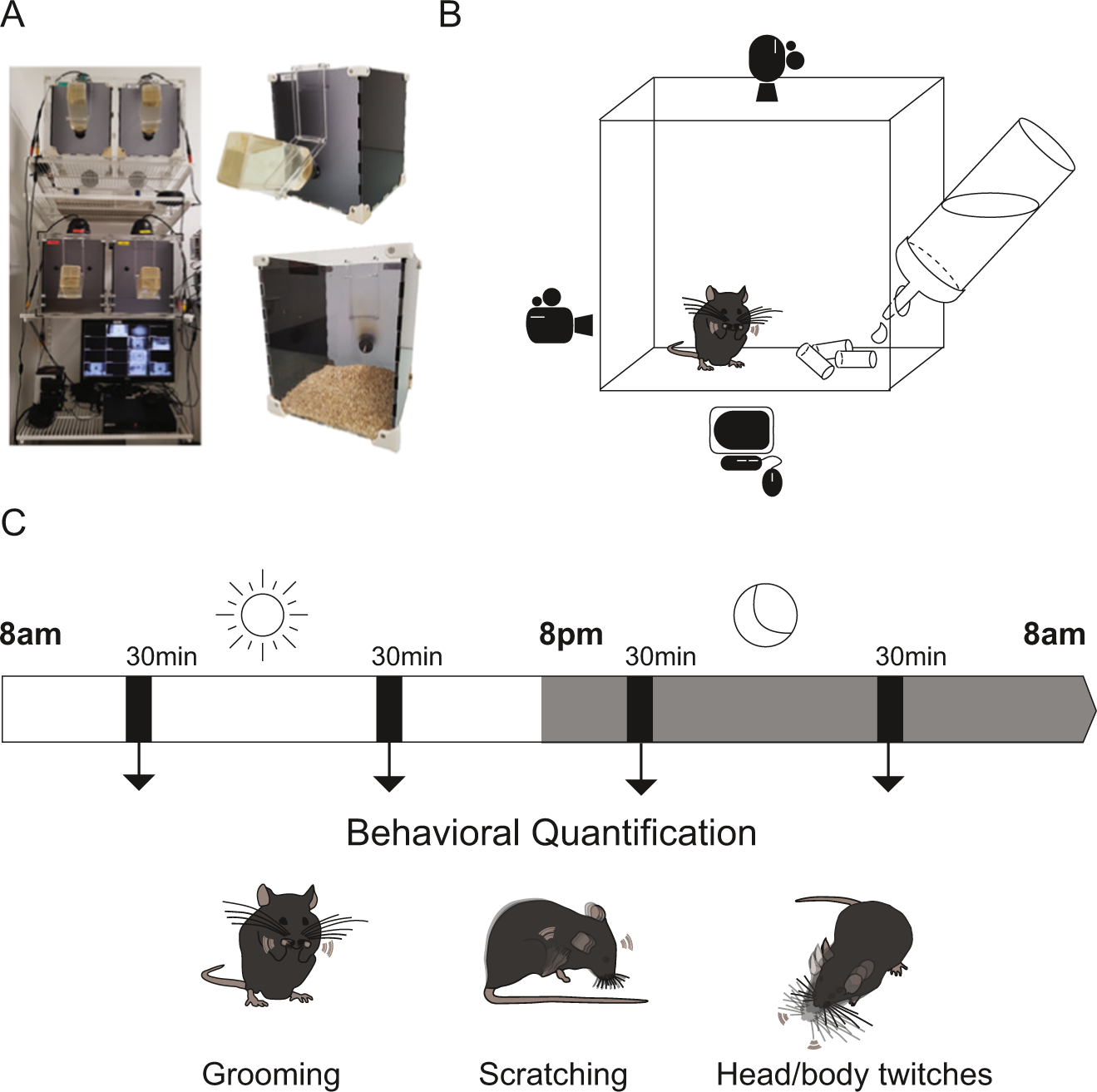 GitHub - mbowen13/MouseAccuracy: Web-based mouse accuracy trainer for SC2,  inspired by Day9