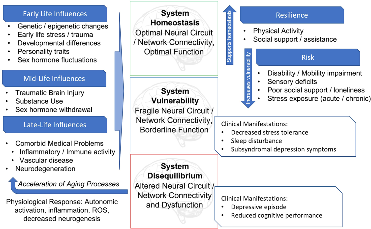 Biological factors influencing depression in later life role of aging processes and treatment implications Translational Psychiatry pic