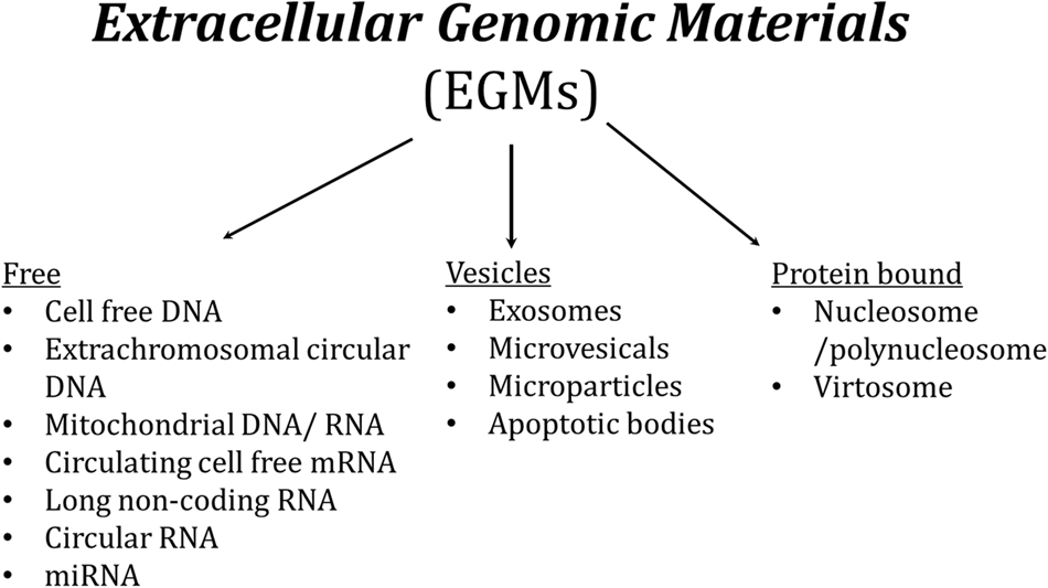 Materials, Free Full-Text