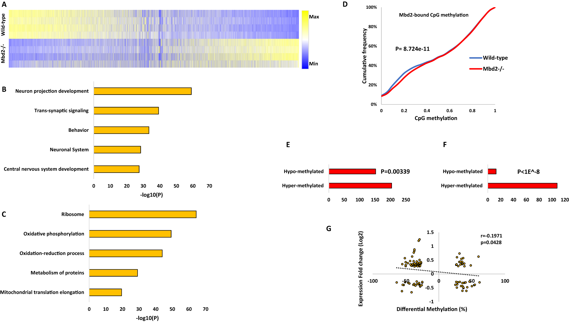 Fig. 3: Effect of Mbd2 deficiency on gene expression and DNA methylation.