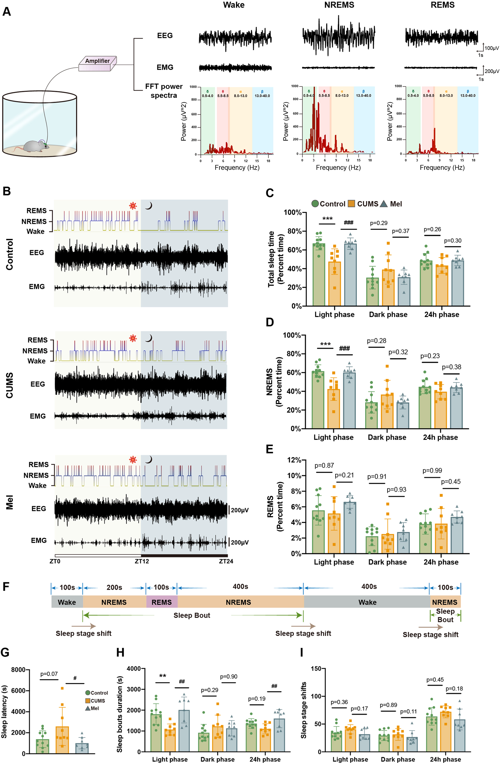 Fig. 2: Melatonin treatment ameliorates the disturbance of sleep architecture in CUMS mice, especially during the light phase.