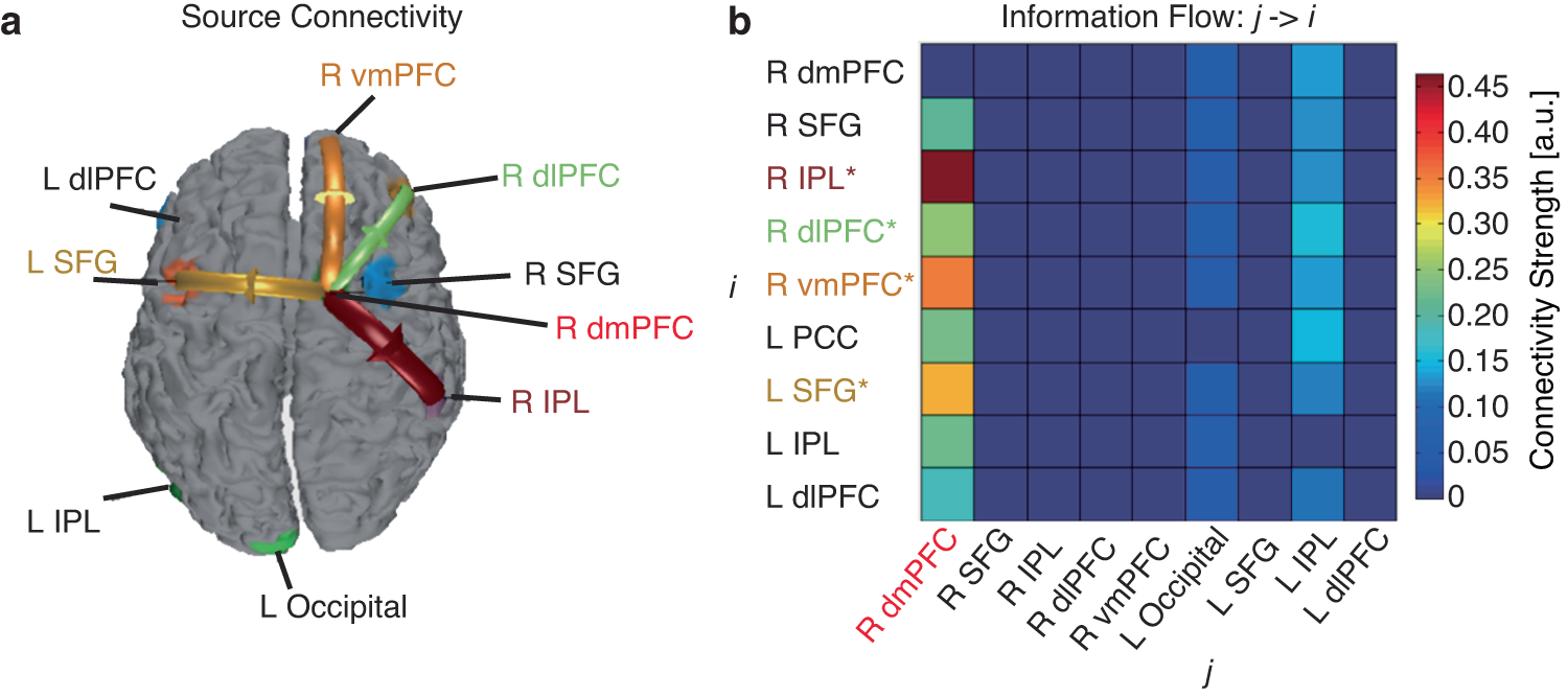 Fig. 5: EEG source connectivity.