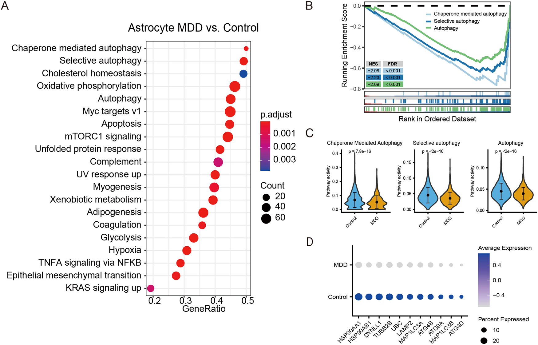 Fig. 2: Pathway enrichment analysis of astrocytes indicating the inhibition of autophagy pathways in patients with MDD.